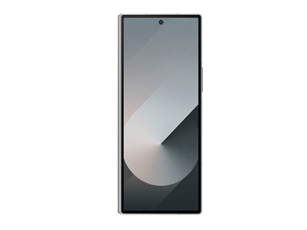 Samsung Galaxy Z Fold6 12GB / 1TB серый