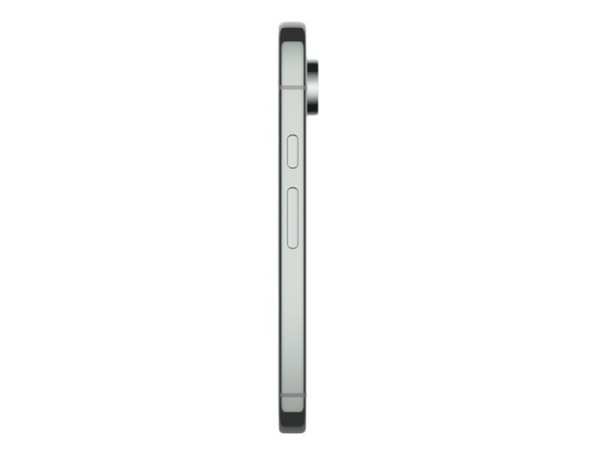 Google Pixel 9 Pro XL 16GB / 512GB лесной орех