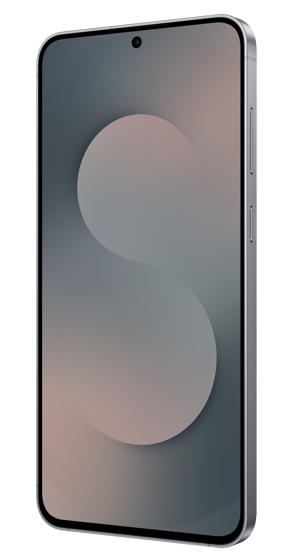 Samsung Galaxy S25 FE 8GB/256GB Черный