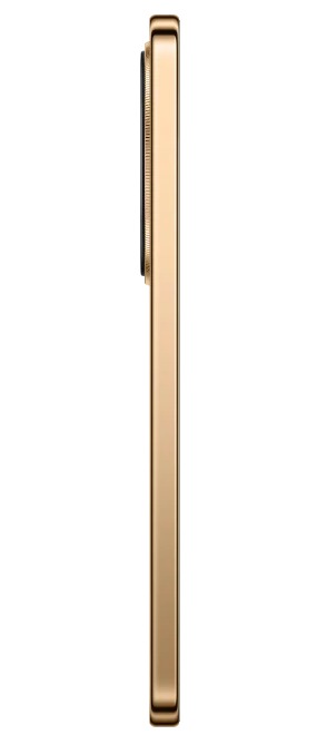 HONOR X9d 12GB/512GB Терракотовый