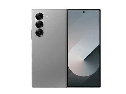 Samsung Galaxy Z Fold6 12GB / 1TB серый